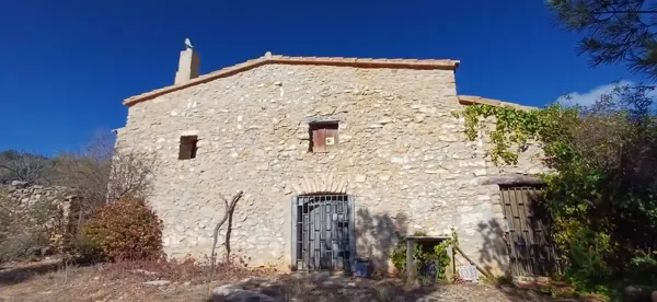 Spot image