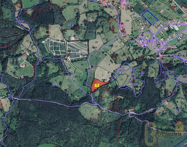 Spot image