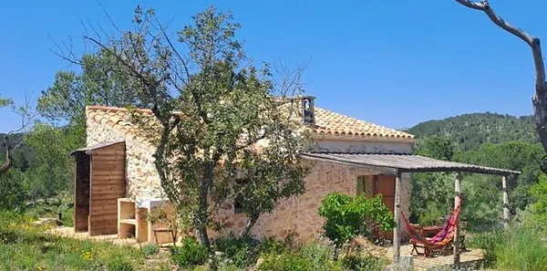 Spot image