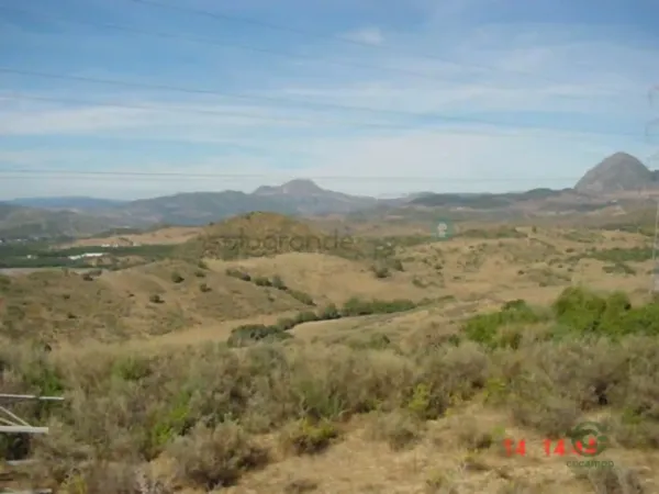 Spot image