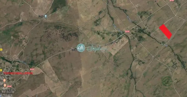 Spot image