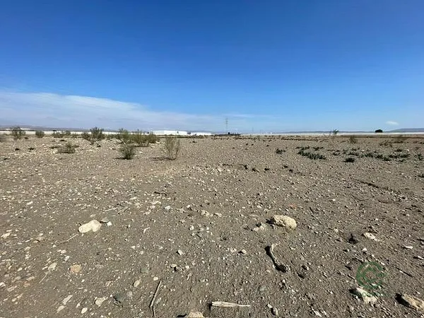 Spot image