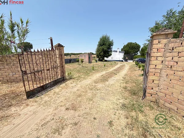 Spot image