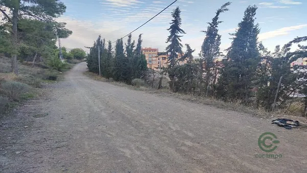Spot image