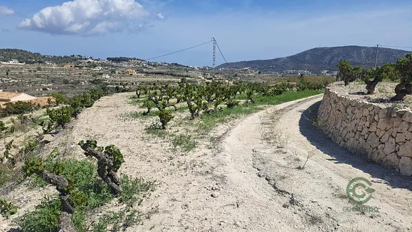 Spot image
