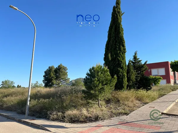 Spot image
