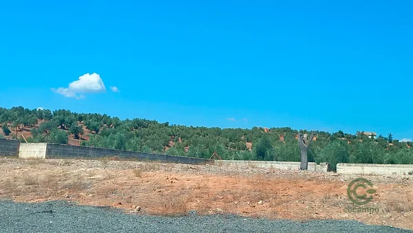 Spot image