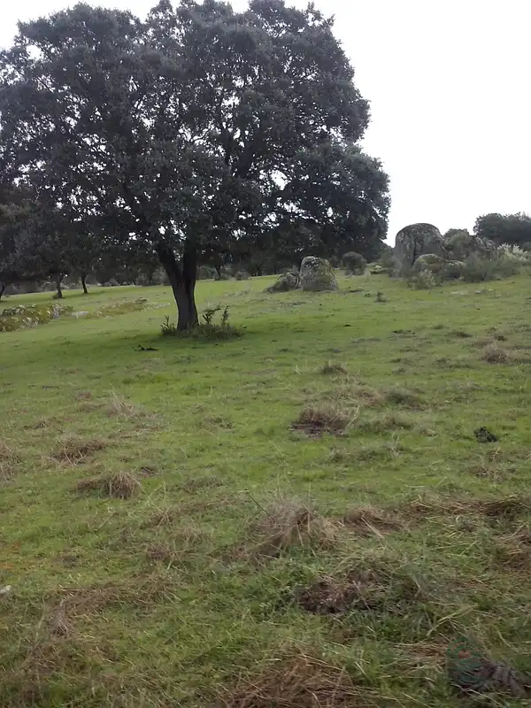 Spot image