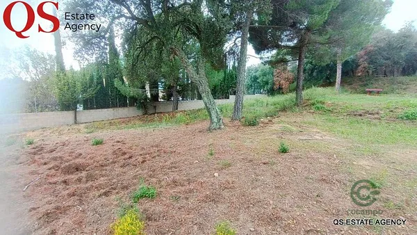 Spot image