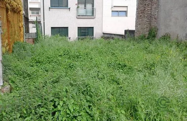 Spot image