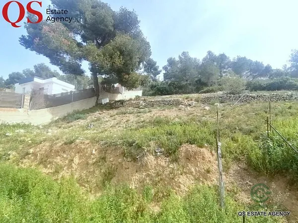 Spot image