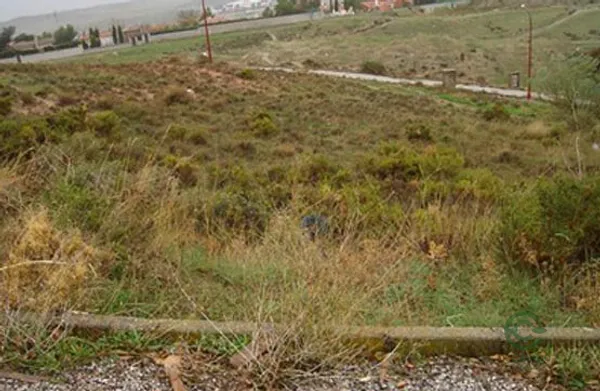 Spot image
