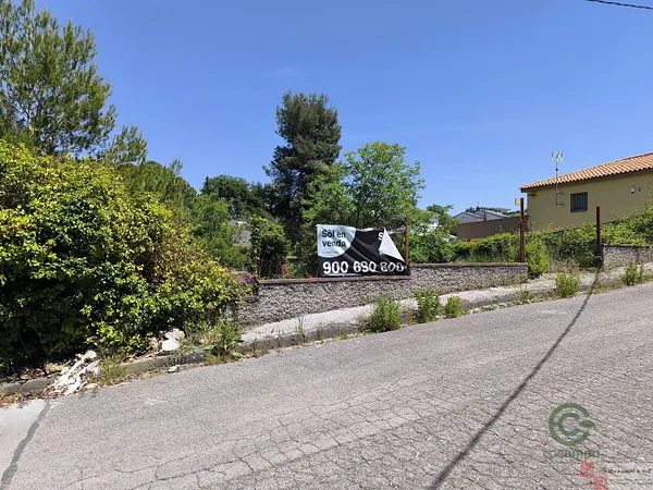 Spot image