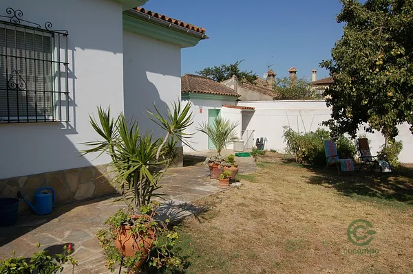 Spot image