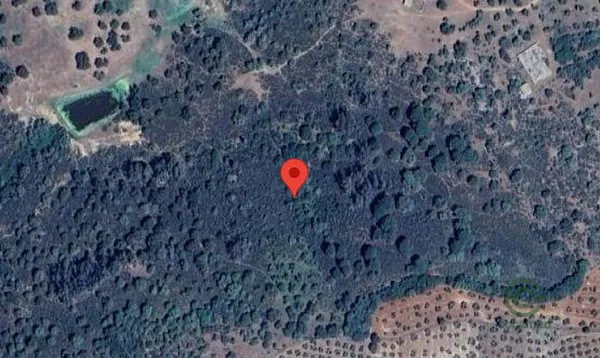 Spot image