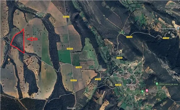 Spot image