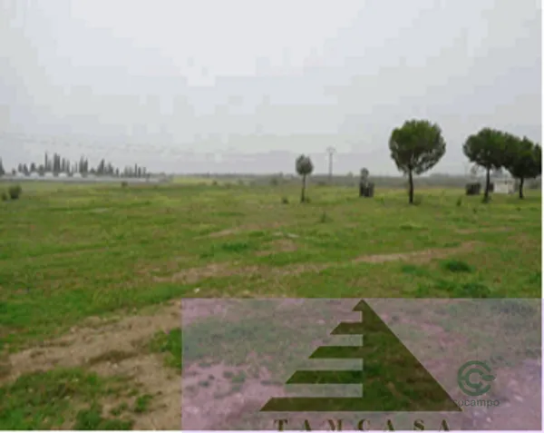 Spot image