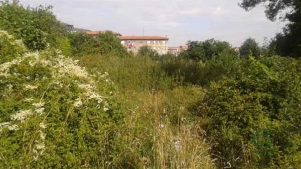 Spot image