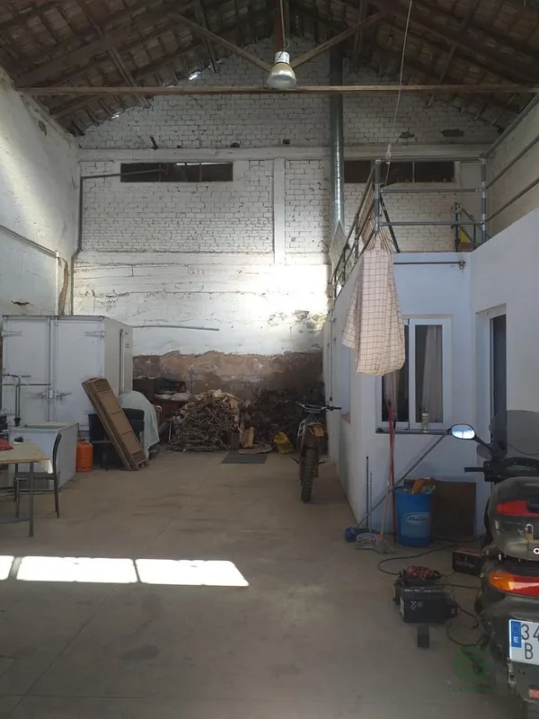 Spot image