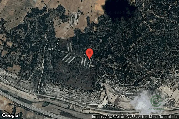 Spot image