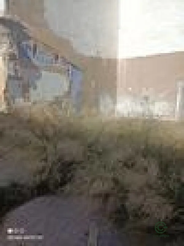 Spot image