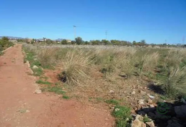 Spot image