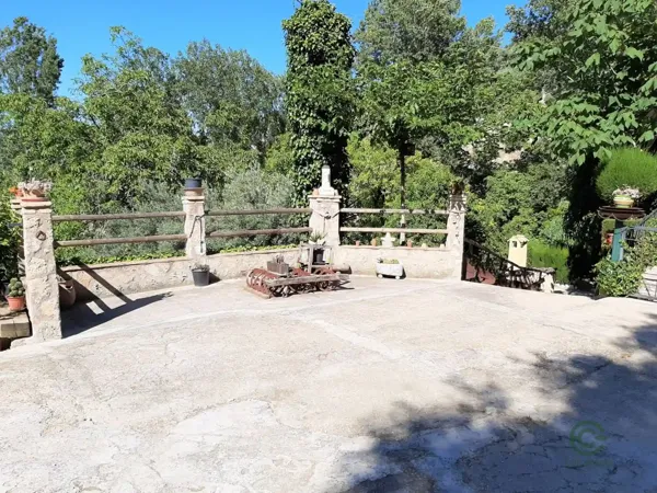 Spot image