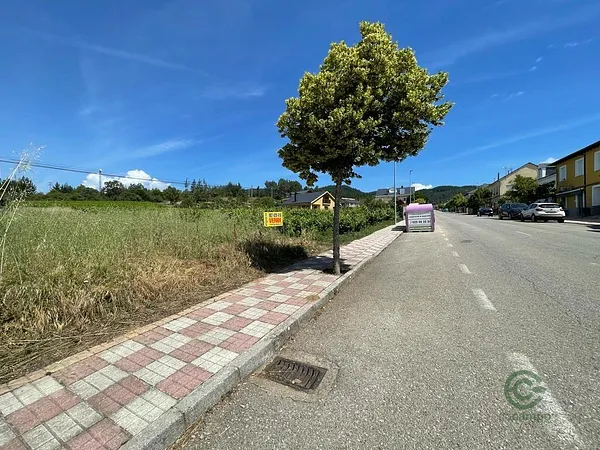 Spot image