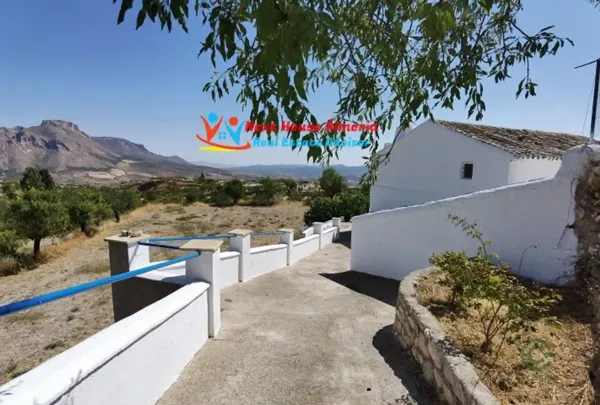 Spot image