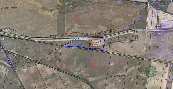 Spot image