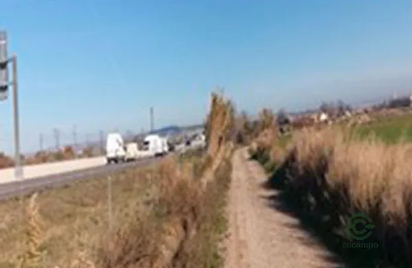 Spot image