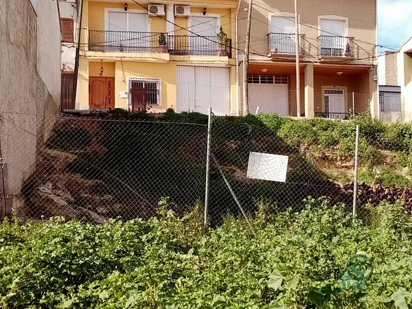 Spot image
