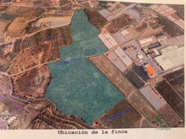 Spot image