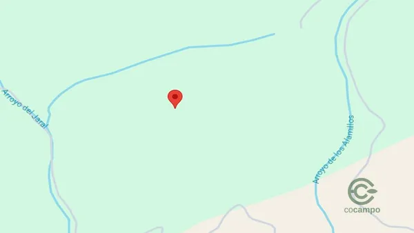 Spot image