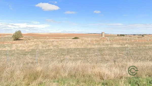 Spot image