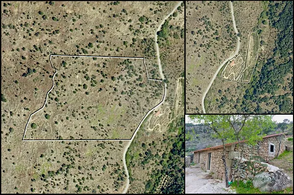 Spot image