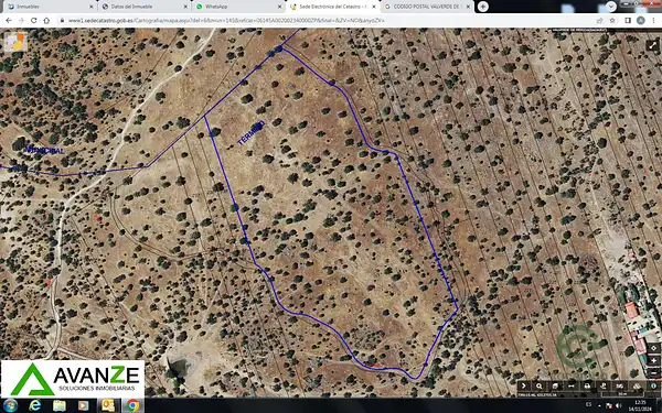 Spot image