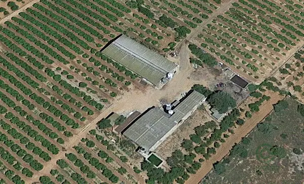 Spot image