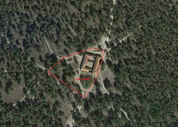 Spot image