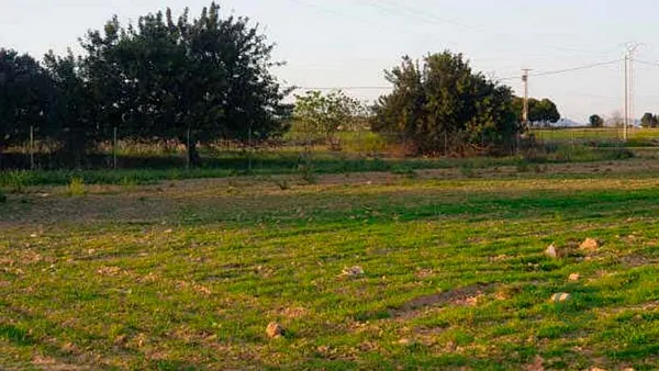 Spot image
