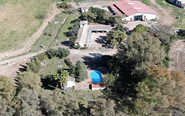 Spot image
