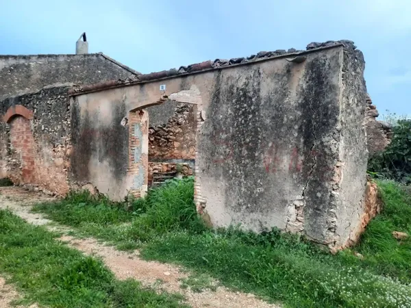 Spot image