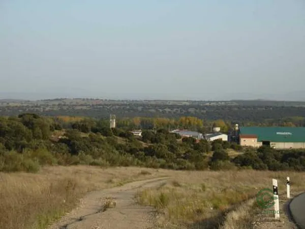 Spot image
