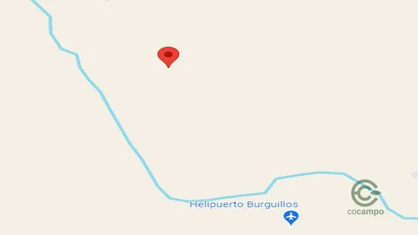 Spot image