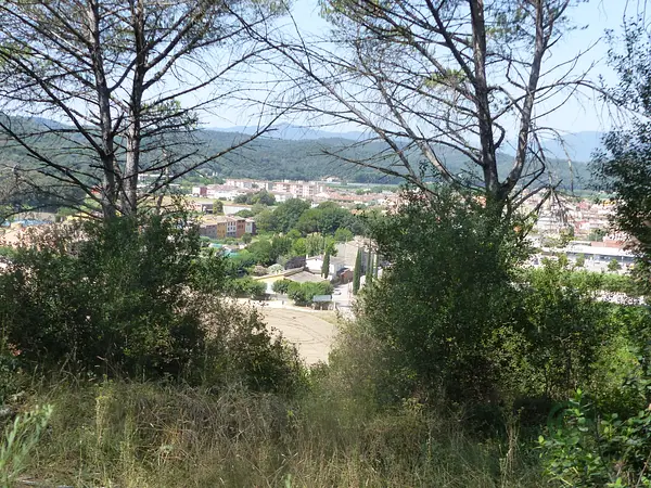 Spot image