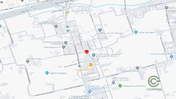 Spot image