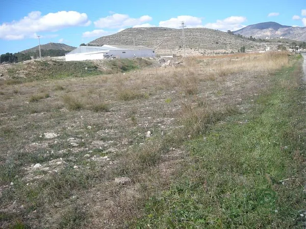 Spot image
