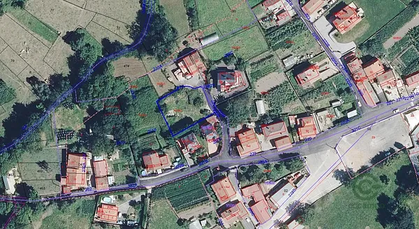 Spot image