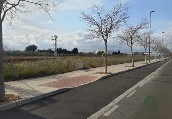 Spot image
