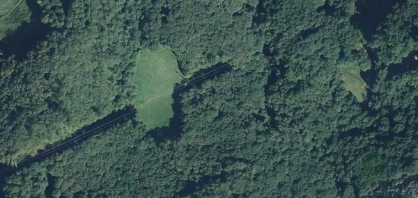 Spot image